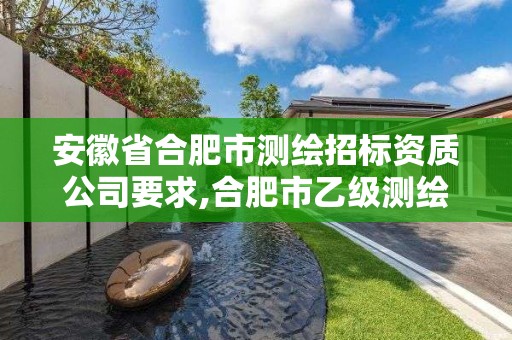 安徽省合肥市测绘招标资质公司要求,合肥市乙级测绘公司