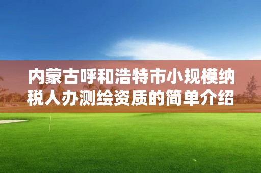 内蒙古呼和浩特市小规模纳税人办测绘资质的简单介绍