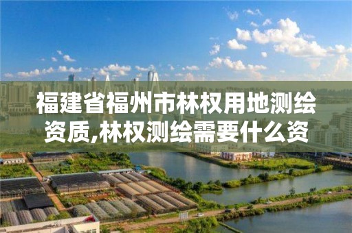 福建省福州市林权用地测绘资质,林权测绘需要什么资质。