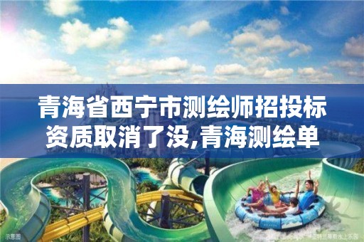 青海省西宁市测绘师招投标资质取消了没,青海测绘单位招聘。