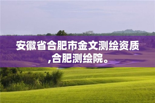 安徽省合肥市金文测绘资质,合肥测绘院。