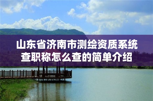 山东省济南市测绘资质系统查职称怎么查的简单介绍