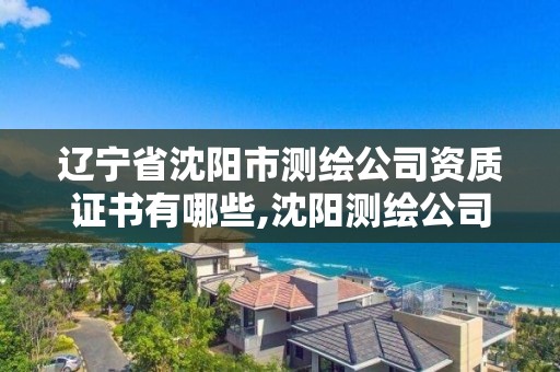 辽宁省沈阳市测绘公司资质证书有哪些,沈阳测绘公司哪家强哪家好。