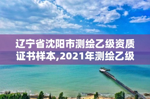 辽宁省沈阳市测绘乙级资质证书样本,2021年测绘乙级资质申报条件。