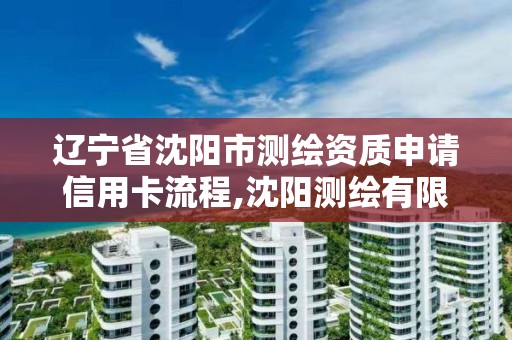 辽宁省沈阳市测绘资质申请信用卡流程,沈阳测绘有限公司。