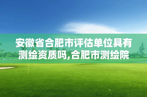 安徽省合肥市评估单位具有测绘资质吗,合肥市测绘院地址。