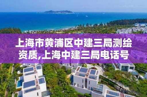 上海市黄浦区中建三局测绘资质,上海中建三局电话号码多少。