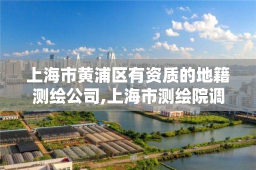 上海市黄浦区有资质的地籍测绘公司,上海市测绘院调取地形图。