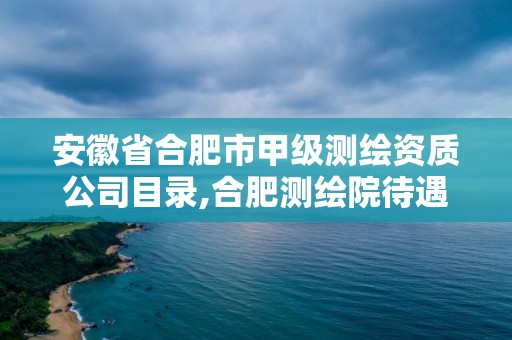 安徽省合肥市甲级测绘资质公司目录,合肥测绘院待遇怎么样。