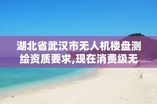 湖北省武汉市无人机楼盘测绘资质要求,现在消费级无人机测绘要多少钱?。