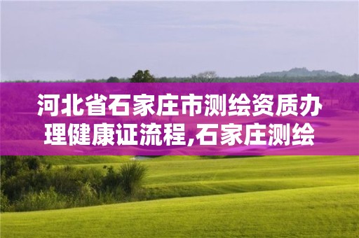 河北省石家庄市测绘资质办理健康证流程,石家庄测绘院是国企吗。