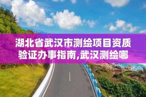 湖北省武汉市测绘项目资质验证办事指南,武汉测绘哪些单位比较好。