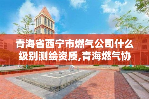 青海省西宁市燃气公司什么级别测绘资质,青海燃气协会。