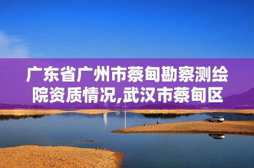 广东省广州市蔡甸勘察测绘院资质情况,武汉市蔡甸区勘察测绘设计院。