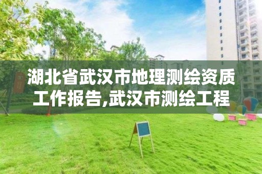 湖北省武汉市地理测绘资质工作报告,武汉市测绘工程技术规定。