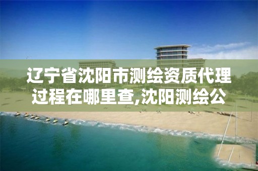 辽宁省沈阳市测绘资质代理过程在哪里查,沈阳测绘公司哪家强哪家好。