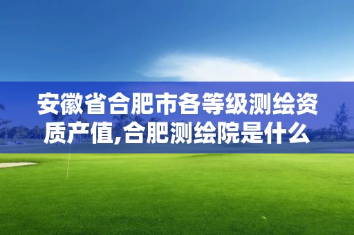 安徽省合肥市各等级测绘资质产值,合肥测绘院是什么单位。