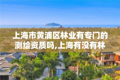 上海市黄浦区林业有专门的测绘资质吗,上海有没有林业局。