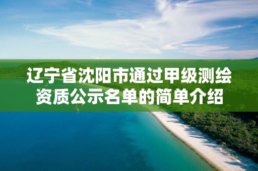 辽宁省沈阳市通过甲级测绘资质公示名单的简单介绍