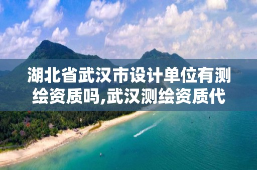 湖北省武汉市设计单位有测绘资质吗,武汉测绘资质代办。