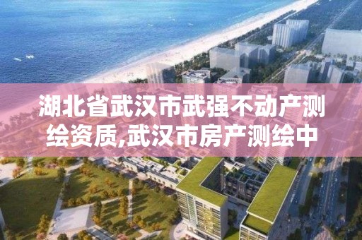 湖北省武汉市武强不动产测绘资质,武汉市房产测绘中心是什么性质。