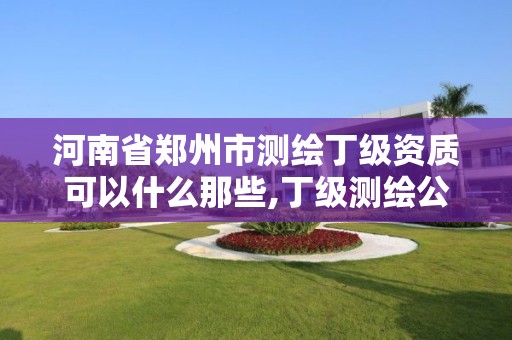 河南省郑州市测绘丁级资质可以什么那些,丁级测绘公司。