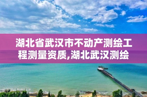 湖北省武汉市不动产测绘工程测量资质,湖北武汉测绘局。