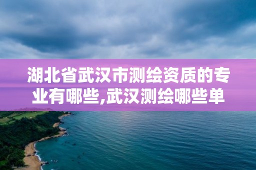 湖北省武汉市测绘资质的专业有哪些,武汉测绘哪些单位比较好。