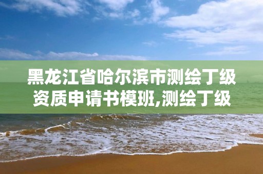 黑龙江省哈尔滨市测绘丁级资质申请书模班,测绘丁级资质人员条件。