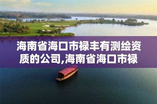 海南省海口市禄丰有测绘资质的公司,海南省海口市禄丰有测绘资质的公司有几家。