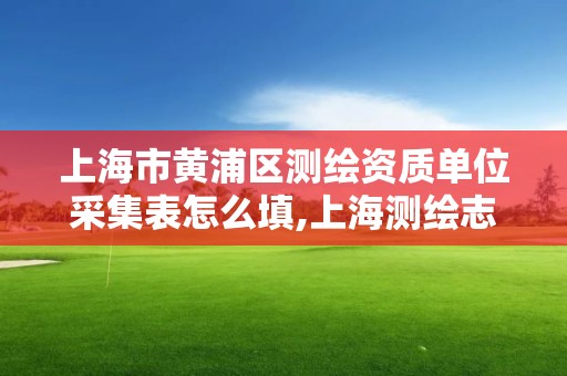 上海市黄浦区测绘资质单位采集表怎么填,上海测绘志。