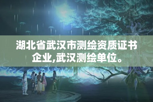 湖北省武汉市测绘资质证书企业,武汉测绘单位。