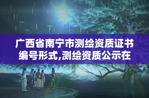 广西省南宁市测绘资质证书编号形式,测绘资质公示在哪里查询。