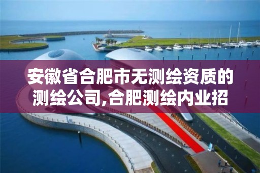 安徽省合肥市无测绘资质的测绘公司,合肥测绘内业招聘。