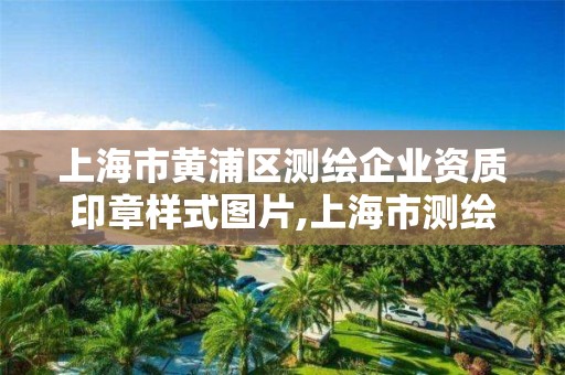 上海市黄浦区测绘企业资质印章样式图片,上海市测绘产品质量。