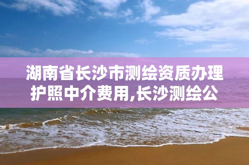 湖南省长沙市测绘资质办理护照中介费用,长沙测绘公司资质有哪家。