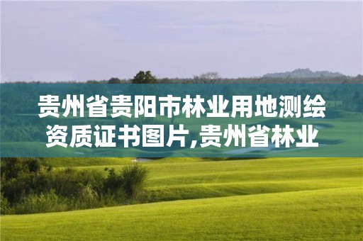 贵州省贵阳市林业用地测绘资质证书图片,贵州省林业勘察设计院地址。