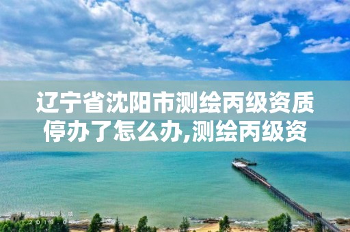 辽宁省沈阳市测绘丙级资质停办了怎么办,测绘丙级资质取消。