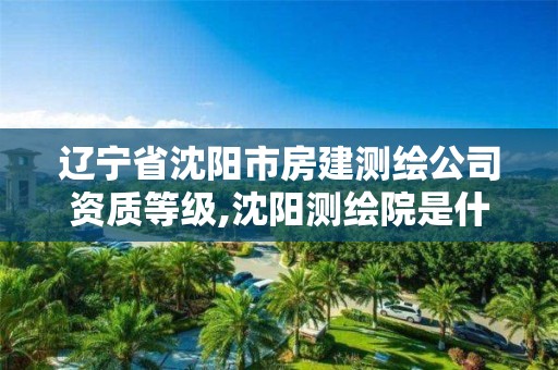 辽宁省沈阳市房建测绘公司资质等级,沈阳测绘院是什么单位。