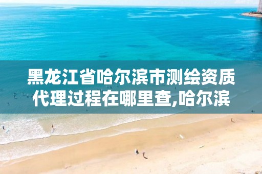 黑龙江省哈尔滨市测绘资质代理过程在哪里查,哈尔滨测绘有限公司。