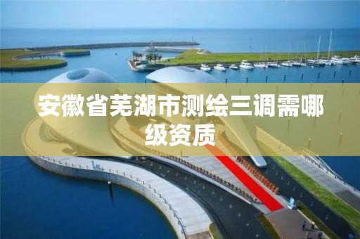 安徽省芜湖市测绘三调需哪级资质