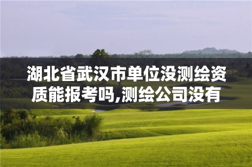 湖北省武汉市单位没测绘资质能报考吗,测绘公司没有资质可以开发票吗。