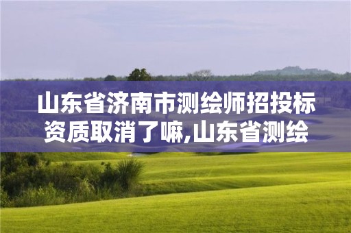 山东省济南市测绘师招投标资质取消了嘛,山东省测绘资质管理规定。