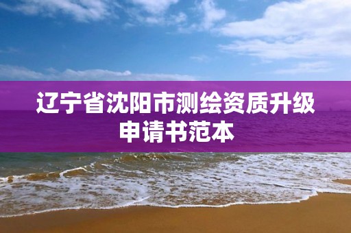 辽宁省沈阳市测绘资质升级申请书范本