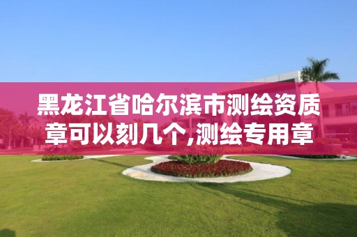 黑龙江省哈尔滨市测绘资质章可以刻几个,测绘专用章有效期。