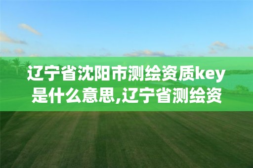 辽宁省沈阳市测绘资质key是什么意思,辽宁省测绘资质管理信息系统。