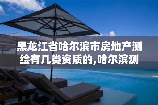 黑龙江省哈尔滨市房地产测绘有几类资质的,哈尔滨测绘局是干什么的。