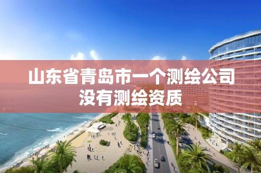 山东省青岛市一个测绘公司没有测绘资质