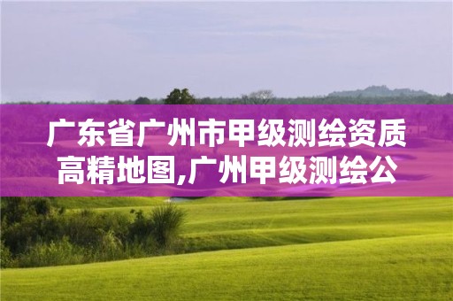 广东省广州市甲级测绘资质高精地图,广州甲级测绘公司。