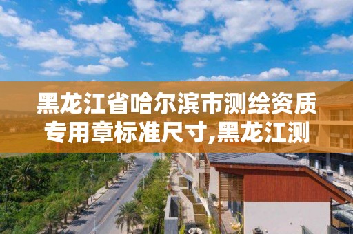 黑龙江省哈尔滨市测绘资质专用章标准尺寸,黑龙江测绘公司乙级资质。